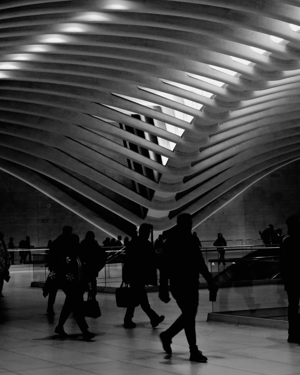 Oculus, Silhouettes — New York City