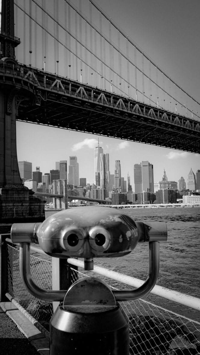 Bridge & Viewfinder, Mono — New York City